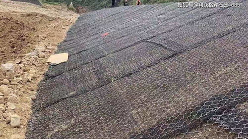草绿色加筋麦克垫 边坡绿化与兰炭应用中的铺设特点解析