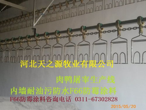 F66 9512防霉涂料 为食品厂、医院、药厂打造持久安全的白色防霉环境